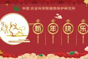 新年寄语2021图片带字简短下载，新年寄语2021图片带字简短免收费下载安装(新年寄语2021图片带字简短官方版介绍)
