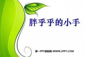 胖乎乎的小手ppt课件 免费版下载，胖乎乎的小手ppt课件 免费版免收费下载安装