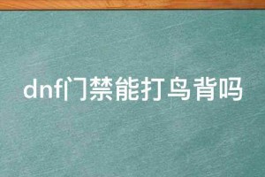 dnf门禁可以打暴走么_dnf门禁可以打鸟背么