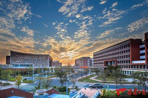 海棠文学城app官方版下载，海棠文学城app官方版免收费下载安装